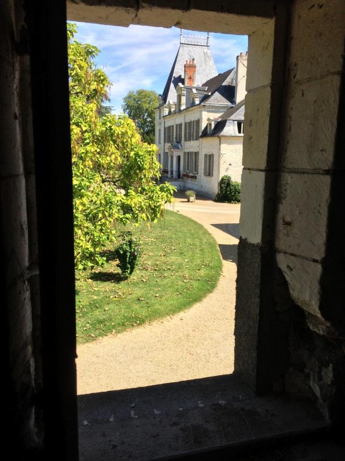 Chateau De La Coutanciere Brain-sur-Allonnes Exterior photo